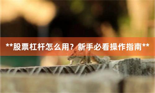 **股票杠杆怎么用？新手必看操作指南**